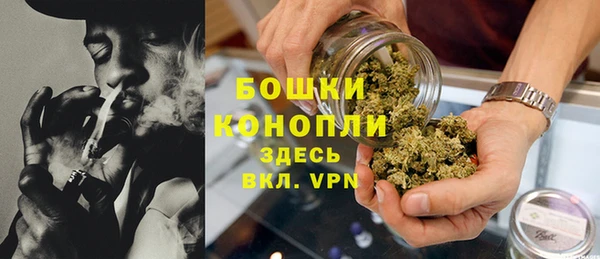 ПСИЛОЦИБИНОВЫЕ ГРИБЫ Волосово