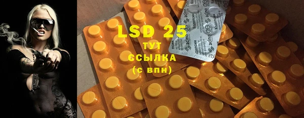 ПСИЛОЦИБИНОВЫЕ ГРИБЫ Волосово