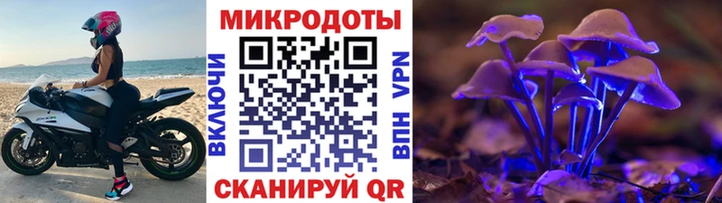 Псилоцибиновые грибы мицелий  купить закладку  OMG зеркало  Стерлитамак 