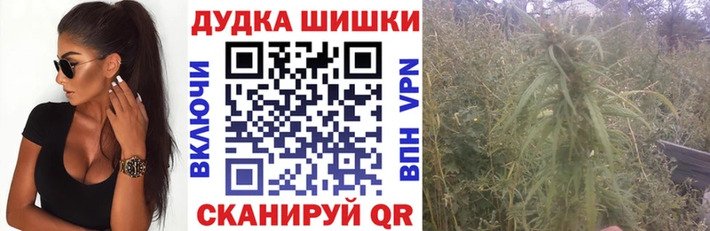 магазин продажи наркотиков  Стерлитамак  Каннабис SATIVA & INDICA 